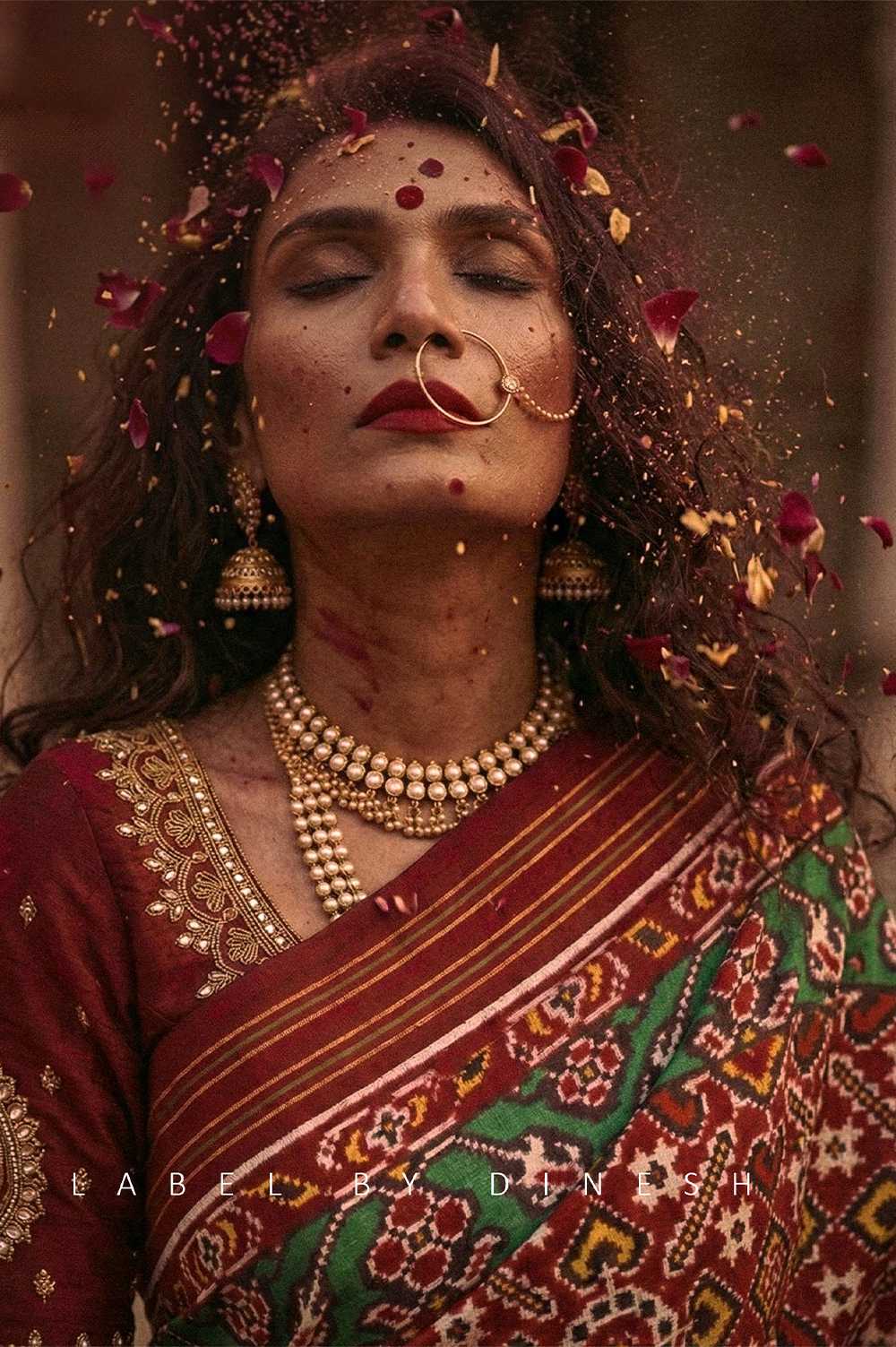 Red Maroon Sitara Manek Chowk Natural Dye Patola Saree_1