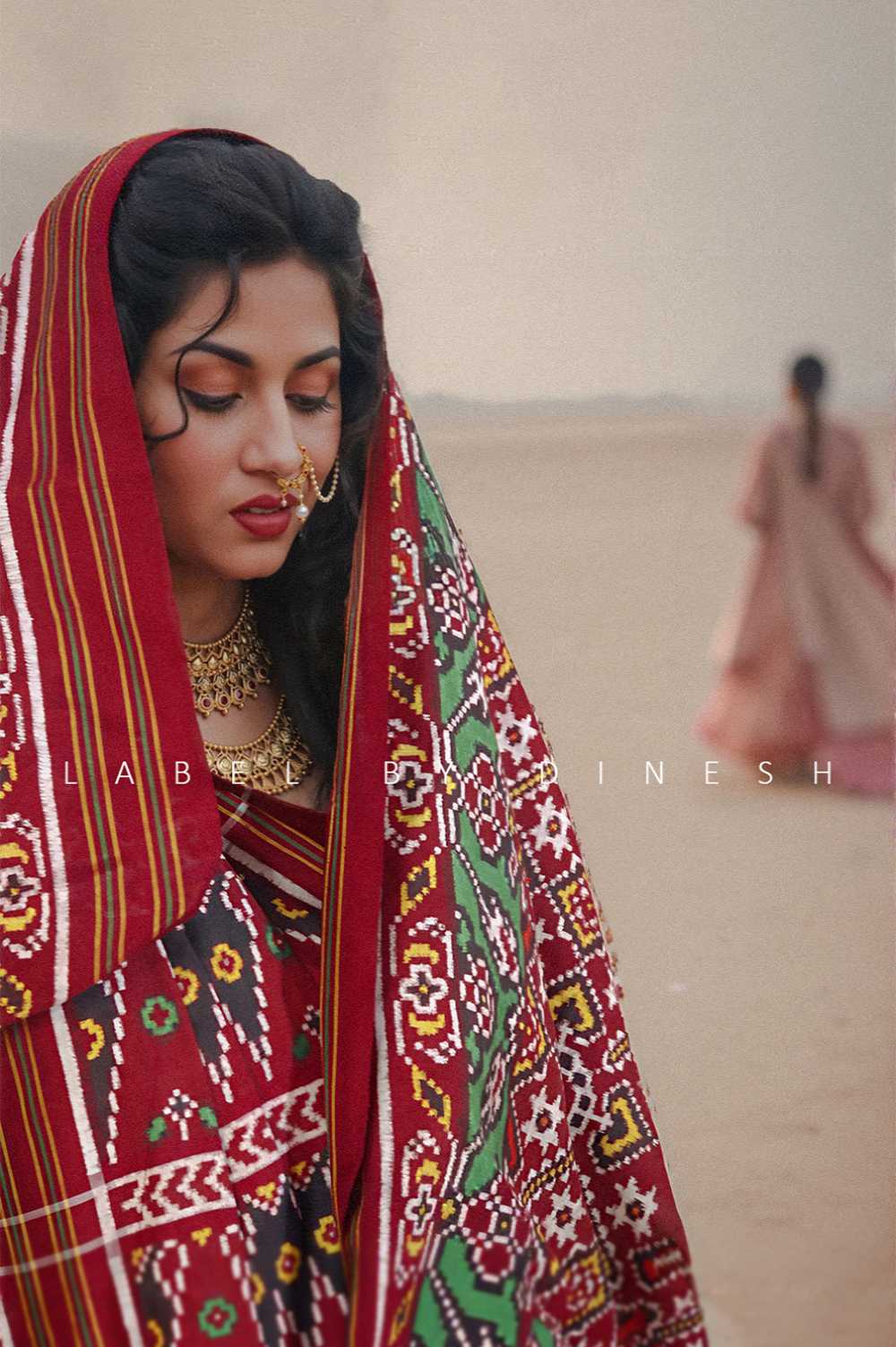 Red Maroon Sitara Manek Chowk Natural Dye Patola Saree_1