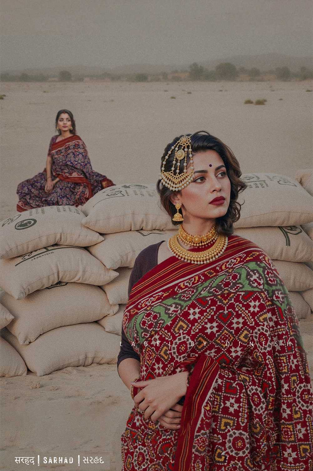 Red Maroon Sitara Manek Chowk Natural Dye Patola Saree_1