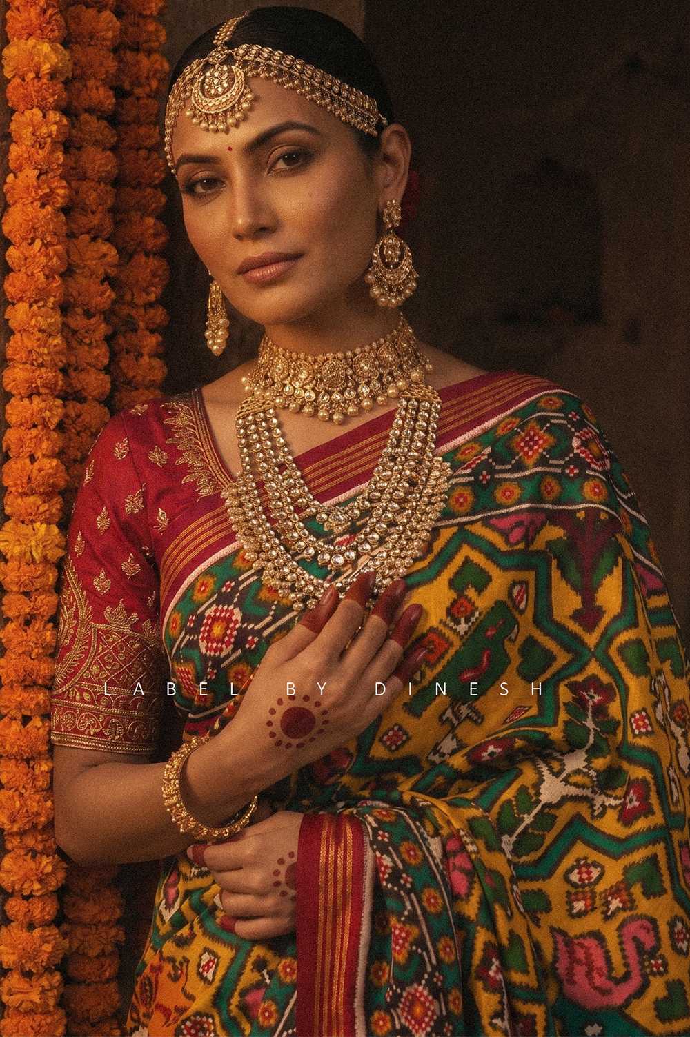 Big Figures In Star Designer Double Ikkat Patola Saree_1
